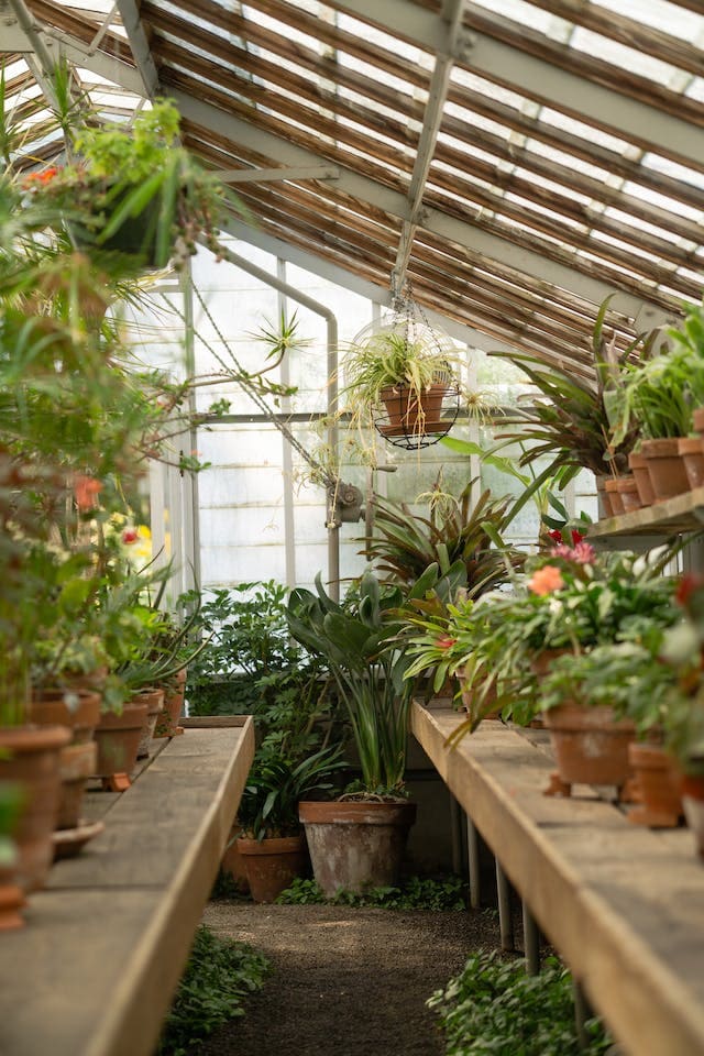 vivero 2
