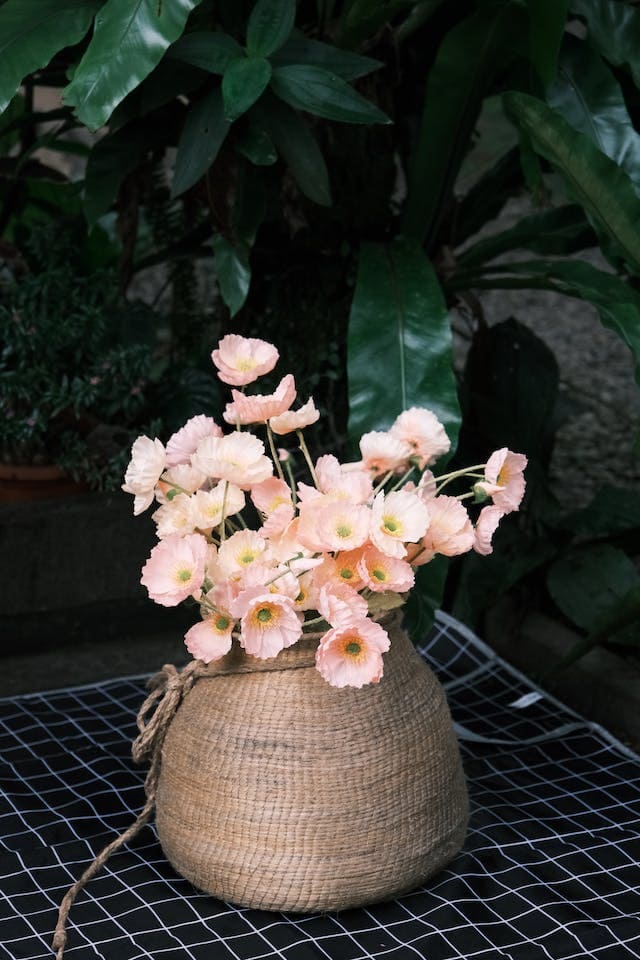 vivero 3