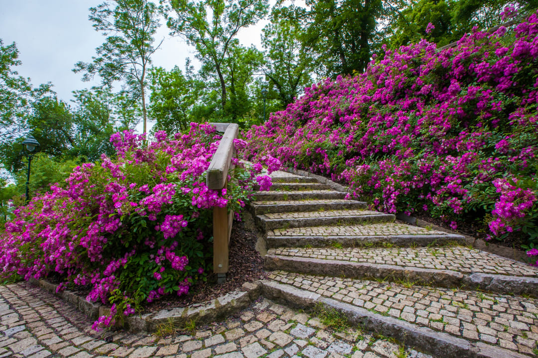 escaleras-hermoso-parque (1) (1)