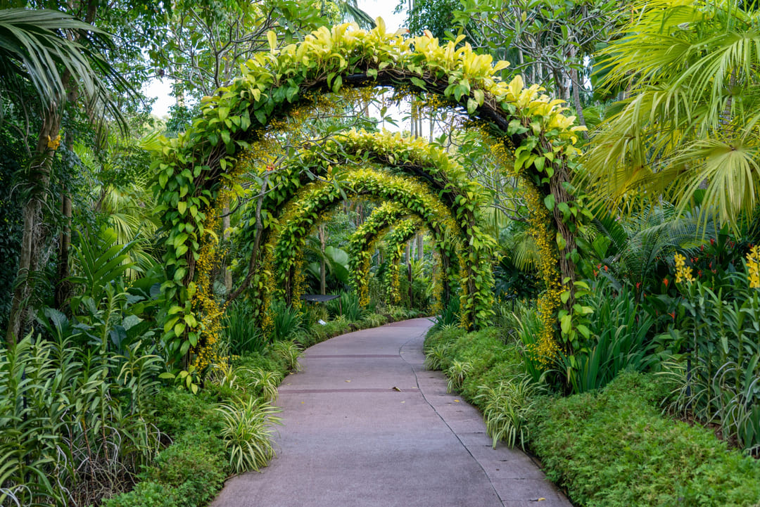 sendero-hermoso-arco-flores-plantas (1) (1)